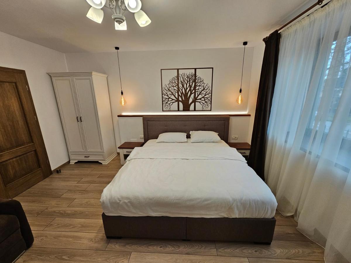Arbor Inn Braşov Buitenkant foto