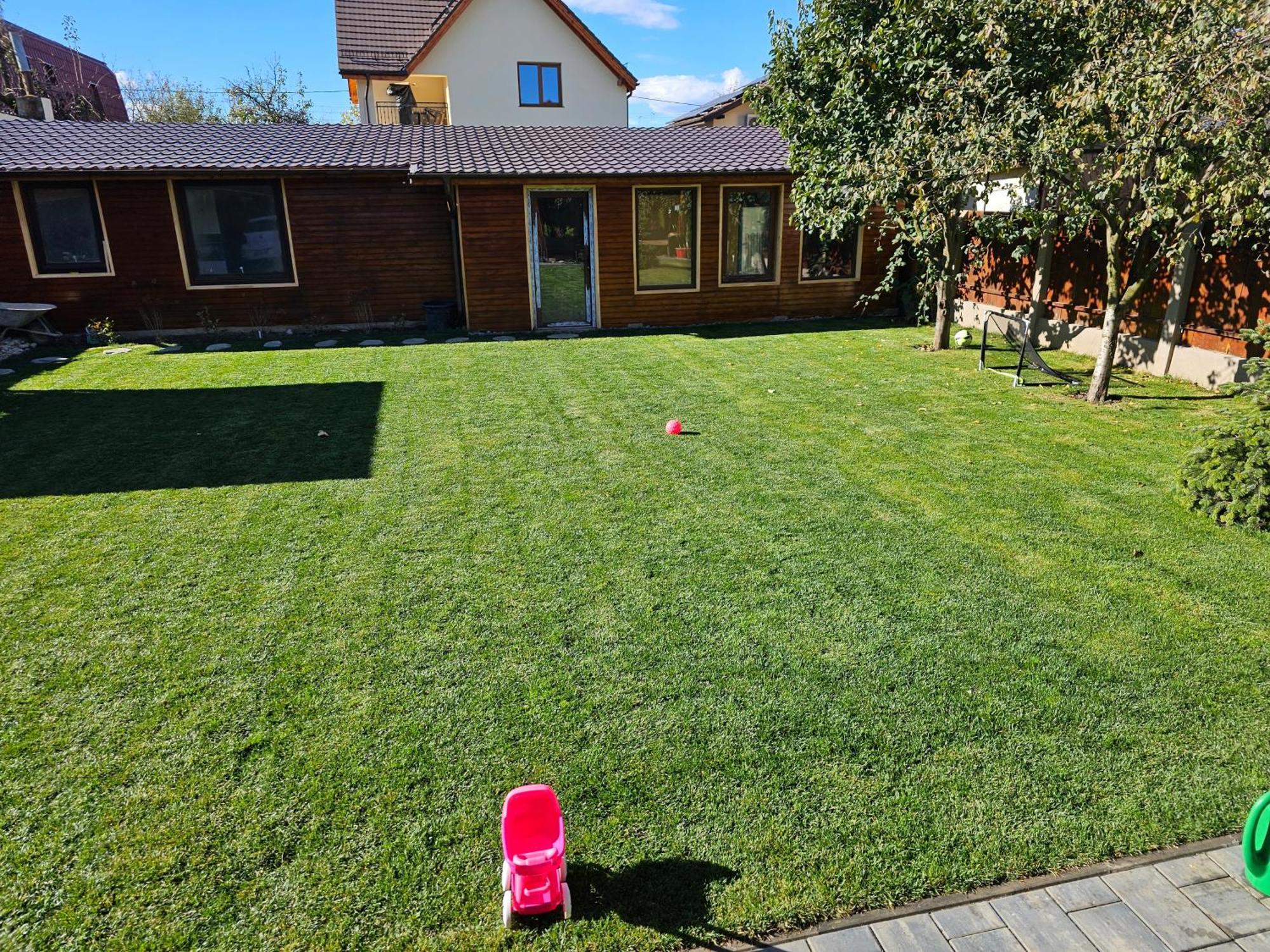 Arbor Inn Braşov Buitenkant foto
